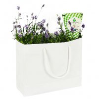 Lavendel i påse - Påskblommor - Skicka blommor
