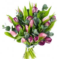 Purplepink - Tulpaner - Skicka blommor & presenter i %city%